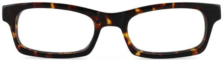 Prescription Glasses Model SCOTT-TOTOISE-FRONT