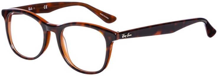 prescription-glasses-model-Ray-Ban-RB5356-Tortoise-Brown-45