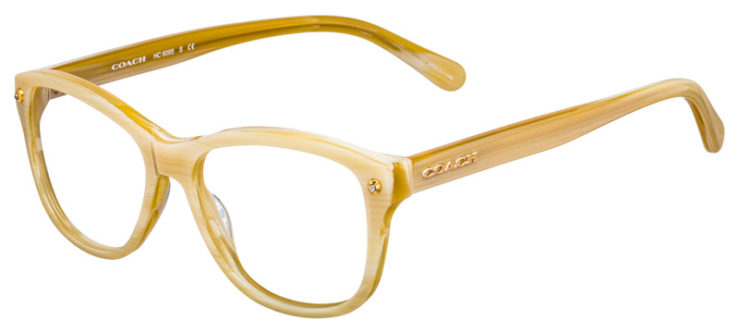 prescription-glasses-model-Coach-HC6095-Ivory-Horn-45