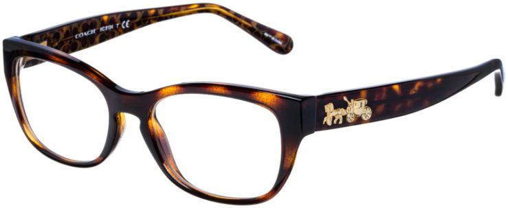 prescription-glasses-model-Coach-HC6104-Dark-Tortoise-45
