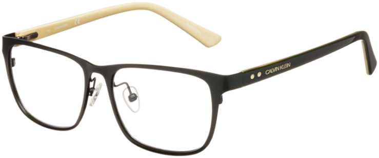 prescription-glasses-model-Calvin-Klein-CK19302-color-Satin-Cargo-45