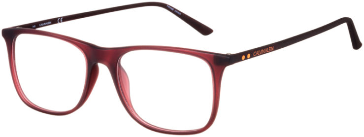 prescription-glasses-model-Calvin-Klein-CK19513-color-Matte-Burgundy-45