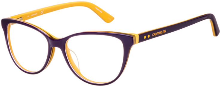 prescription-glasses-model-Calvin-Klein-CK19516-color-Dark-Purple-45
