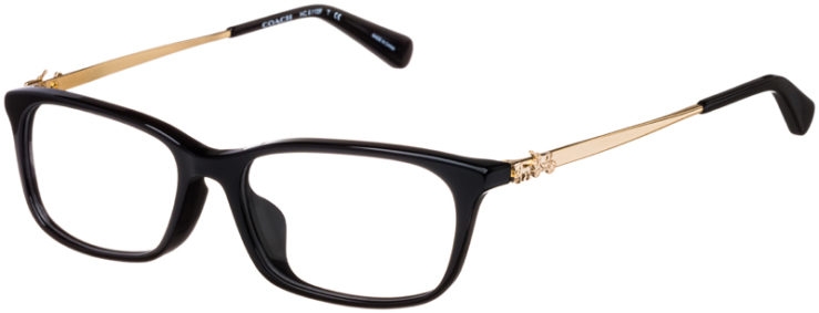 prescription-glasses-model-Coach-HC6110-color-Black-Gold-45