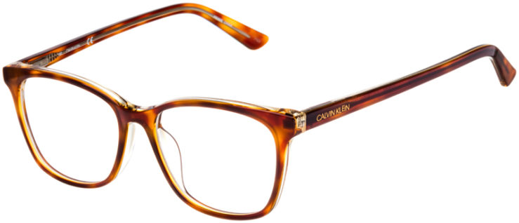prescription-glasses-model-Calvin Klein CK20509-Yellow Tortoise-45