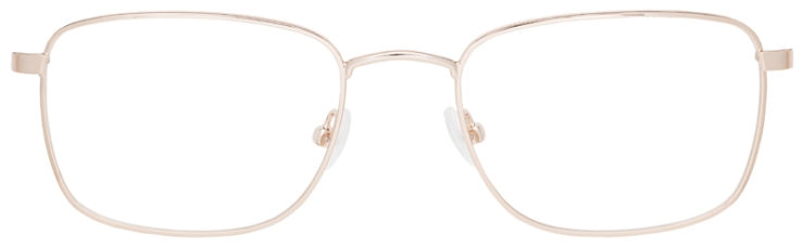 prescription-glasses-model-Calvin Klein CK21301-Gold-FRONT