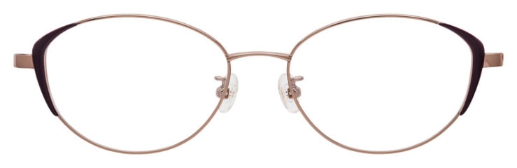 prescripiton-glasses-model-Salvatore-Ferragamo-SF2540A-Brown-FRONT