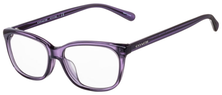 prescription-glasses-model-Coach-HC6139U-Purple-45