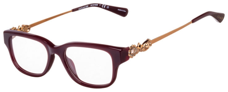 prescription-glasses-model-Coach-HC6162B-Oxblood-45