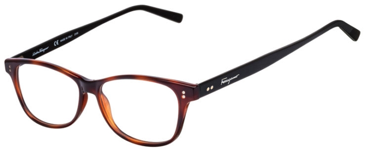prescription-glasses-model-Salvatore Ferragamo-SF2910-Tortoise Black-45