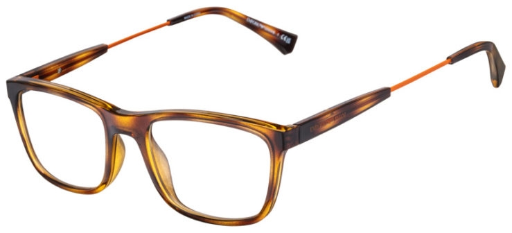 prescription-glasses-model-Emporio-Armani-EA3165-Tortoise-45