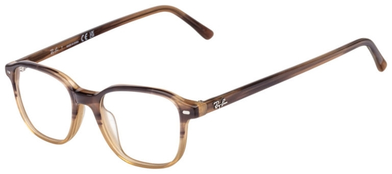Ray Ban RB5393 | Overnight Glasses