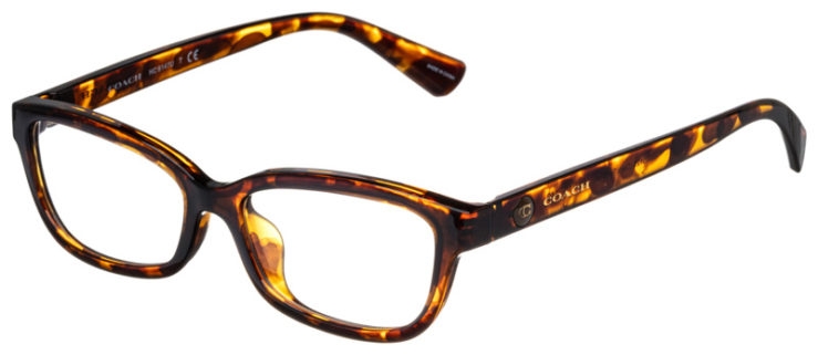 prescription-glasses-model-Coach-HC6147U-Dark Tortoise-45