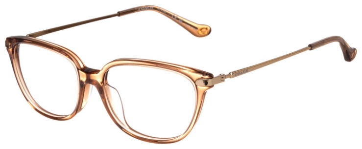 prescription-glasses-model-Coach-HC6185-Brown -45
