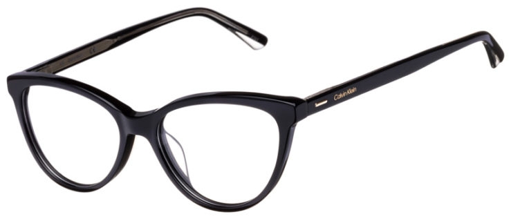 prescription-glasses-model-Calvin Klein-CK21519-Black -45