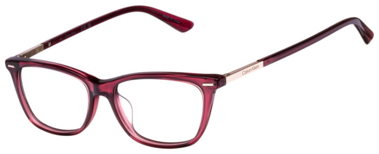 prescription-glasses-model-Calvin Klein-CK22506-Burgundy -45
