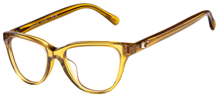 prescription-glasses-model-Coach-HC6202-Crystal Yellow -45