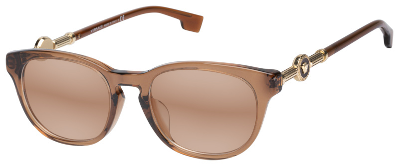 Brown Prescription Sunglasses