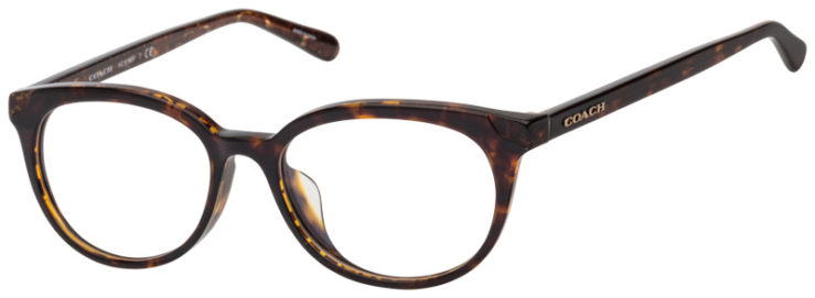 Prescription-glasses-model-Coach _HC6149F_Tortoise Glitter -45