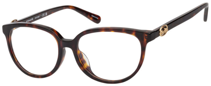 Prescription-glasses-model-Coach _HC6182F_Dark Tortoise -45