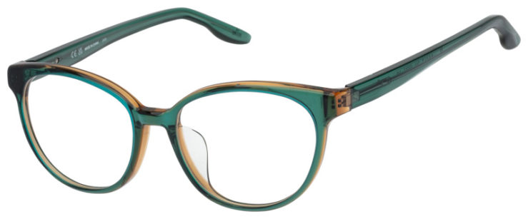 Prescription-glasses-model-Nike_7164LB_Green Brown -45