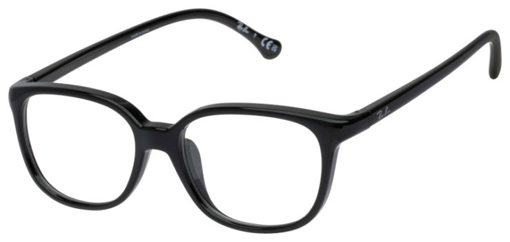 Prescription-glasses-model-Ray Ban_RB1900F_Black-45