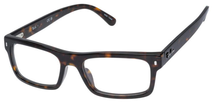 Prescription-glasses-model-Ray Ban_RB5435F_Tortoise -45